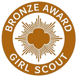 Bronze Certification